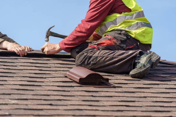 Best Metal Roofing Contractor  in Erwinville, LA