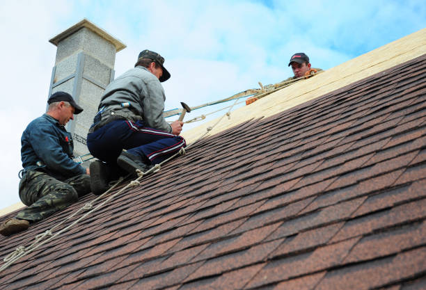 Roof Gutter Cleaning in Erwinville, LA